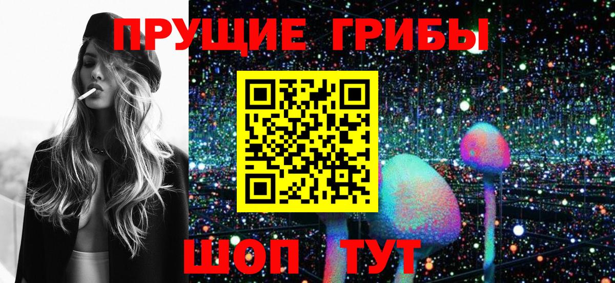 Псилоцибиновые грибы Psilocybe Глазов