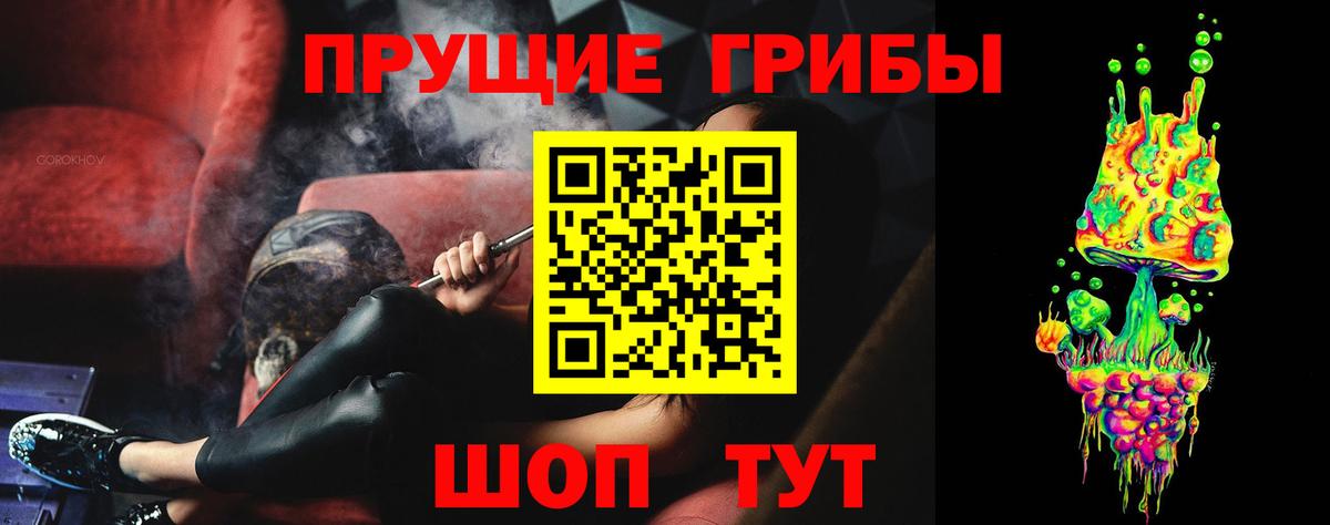 Псилоцибиновые грибы Cubensis  Вход с VPN  Глазов 